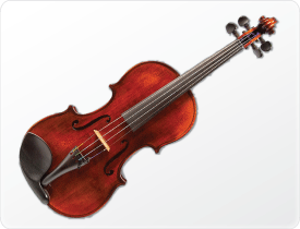 Violin